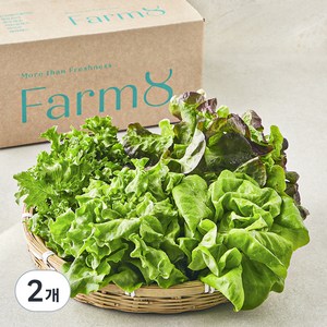팜에이트 무농약 인증 유러피안 샐러드 꾸러미