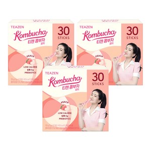 티젠 콤부차 피치