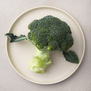 친환경 제주 브로콜리