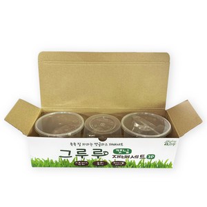 힐링타임 그루루 캣글라스 재배세트 3p, 캣닢, 1세트