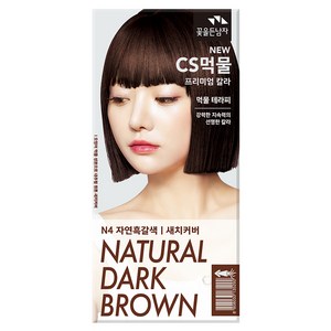 꽃을든남자 CS먹물 프리미엄 칼라크림 염모제, N4자연흑갈색, 1개