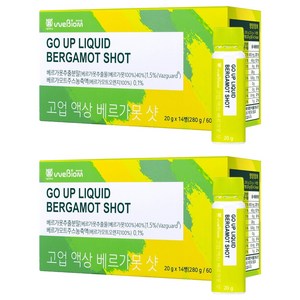 위바이옴 고업 액상 베르가못 샷, 280g, 2개