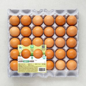 곰곰 신선한 동물복지 유정란 30구