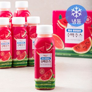 탐사 꽁꽁얼린 수박주스 (냉동), 250ml, 6개