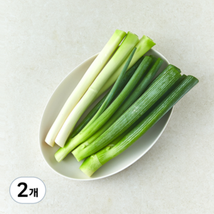 국내산 절단 대파, 300g, 2개