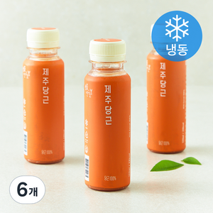 생즙연구소 제주당근주스 (냉동), 120ml, 6개