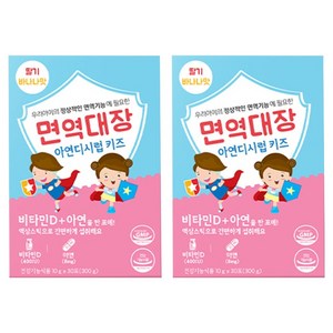 면역대장 아연디시럽 키즈 비타민D 아연 30p, 300g, 2개