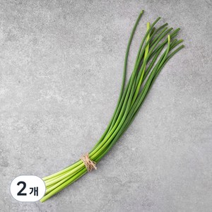 중국산 신선마늘쫑, 250g, 2개