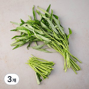 국내산 공심채, 150g, 3개