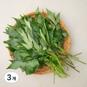 국내산 당귀잎, 100g, 3개