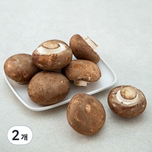 친환경 인증 국내산 양송이버섯, 150g, 2개