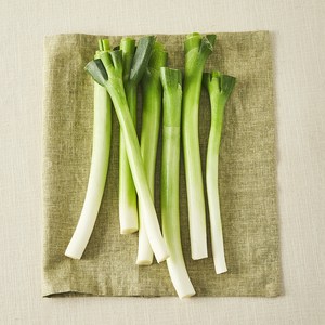 국내산 친환경 손질한 흰줄기 대파, 350g, 1개
