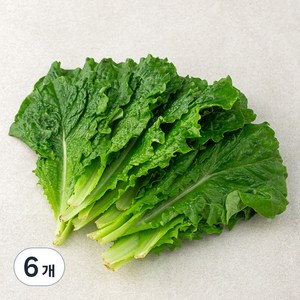 한끼 로메인, 80g, 6개