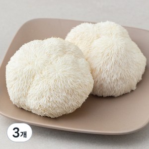 국내산 친환경 노루궁뎅이 버섯, 150g, 3개