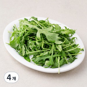 와일드 루꼴라, 50g, 4개
