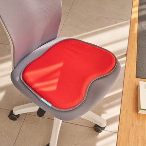 밸런스온 베타젤 FIT 시트 L + 커버