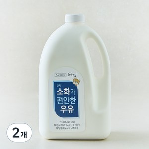 건국유업 소화가 편안한 우유, 2.3L, 2개