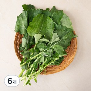 국내산 유채, 250g, 6개