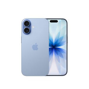 Apple 아이폰 17 자급제