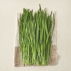 국내산 무농약 부추, 300g, 1개