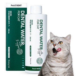 페토덴트 바이옴 덴탈워터 포 캣 고양이 마시는 치약, 250ml, 1개