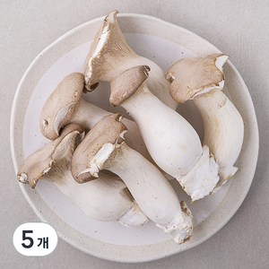 못생겨도 맛있는 새송이버섯, 600g, 5개