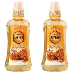 고려인삼 사양벌꿀, 750g, 2개