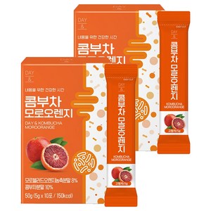 데이앤 콤부차 모로오렌지