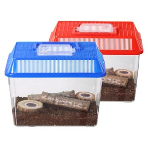 사필풍 장수풍뎅이 사각 대형 실속 세트