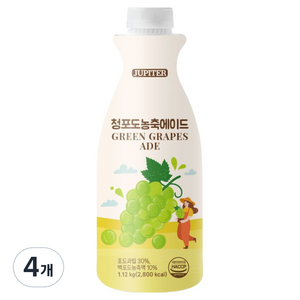 데이웰 쥬피터 청포도 농축 에이드, 1.12kg, 4개