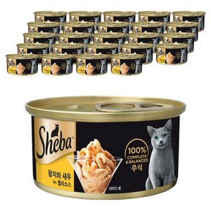 쉬바 고양이 간식캔