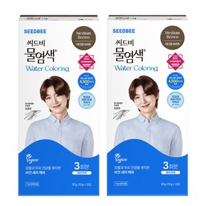씨드비 프리미엄 물 염색제 3회분, 미디엄브라운, 2개