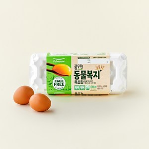 풀무원 동물복지 목초란, 10구, 1개