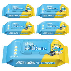 스카트 기름 찌든때 세정 탈취 티슈 30매, one size, 5개