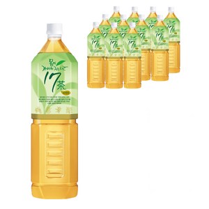 17차 몸이 가벼워지는 시간, 1.5L, 12개