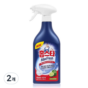 홈스타 맥스프레쉬 욕실청소용 세정제, 500ml, 2개