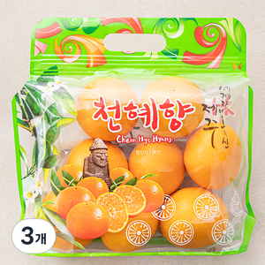 귤탐 고당도 13.5brix 천혜향, 1.2kg(중과, 4~6입), 3개