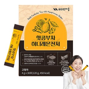 비타민마을 허니레몬진저 핫 콤부차, 4g, 30개입, 1개