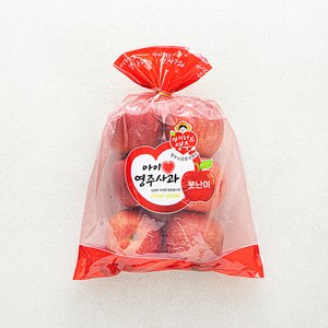 아이러브 영주 못난이 사과, 1.5kg(5~10..., 1개
