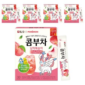 담터 포켓몬 콤부차 납작복숭아