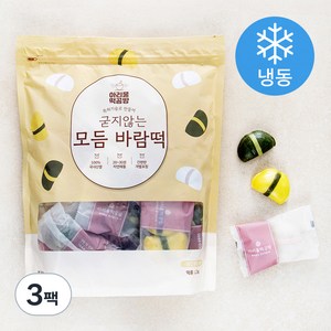 아리울떡공방 굳지않는 모듬 바람떡 (냉동), 3팩, 1.2kg