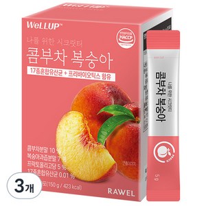 웰업 로엘 콤부차 복숭아