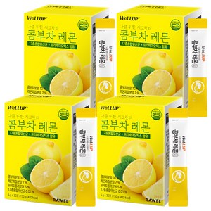 로엘 웰업 나를 위한 시크릿티 콤부차 레몬맛 분말스틱