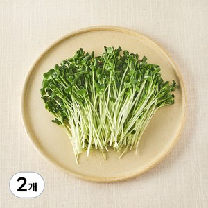 국내산 무농약 무순, 60g, 2개