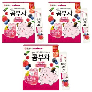 담터 포켓몬 콤부차 세븐베리