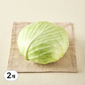 국내산 친환경 양배추, 1통, 2개