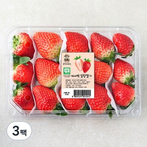 광식이농장 GAP 타이벡 설향딸기 대과, 500g, 3팩