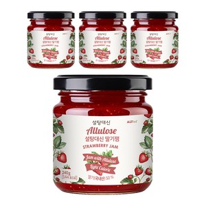 설탕대신 딸기잼, 240g, 4개