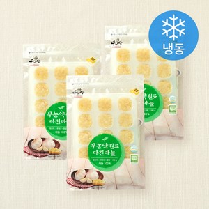 웰팜넷 무농약원료 다진마늘 (냉동), 180g, 3개