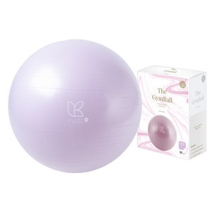 아리프 안티버스트 짐볼 + 에어펌프 + 공기마개